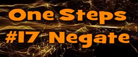 One Step #17 Negate