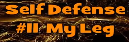 Self Defense #11 My Leg