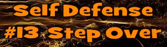 Self Defense #13 Step Over