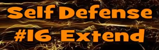Self Defense #16 Extend