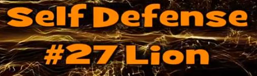 Self Defense #27 Lion