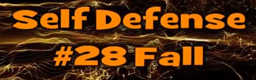 Self Defense #28 Fall