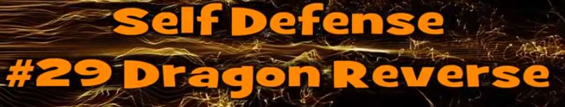 Self Defense #29 Dragon Storm