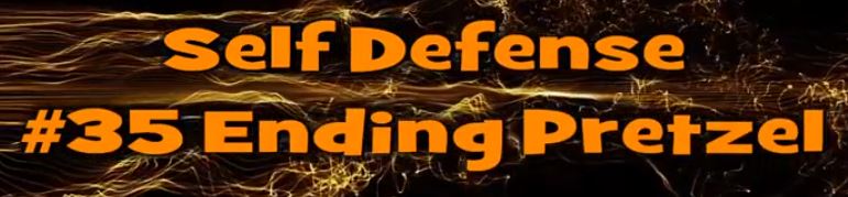 Self Defense #35 Ending Pretzel