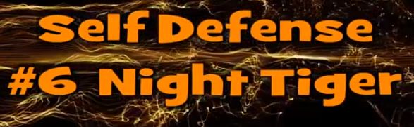 Self Defense #6 Night Tiger