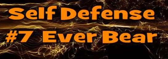 Self Defense #7 Ever Bear