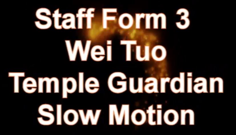 Staff Form 3 - Wei Tuo